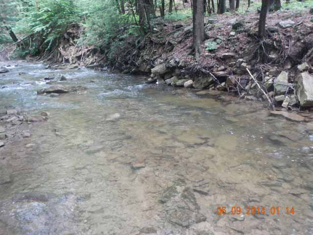 fowlers hollow.Laural run 06-09-14 066.jpg -                                